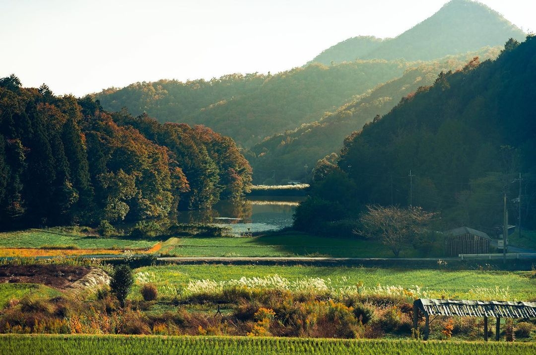 西谷の風景