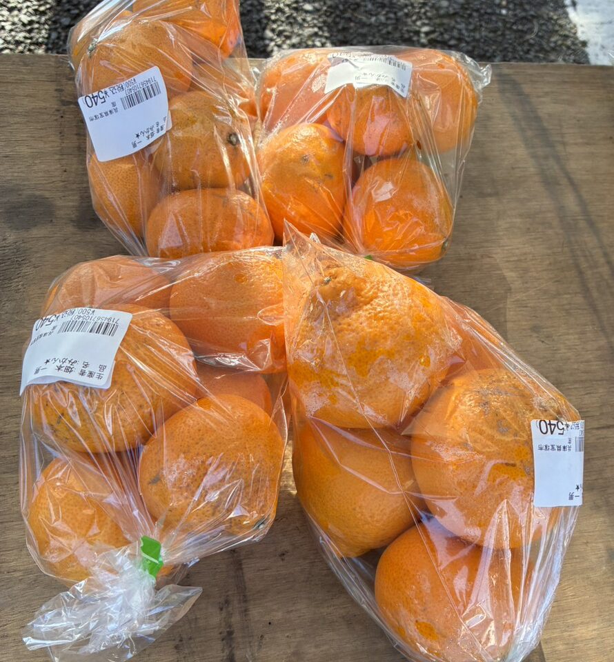 パッケージされた柑橘類