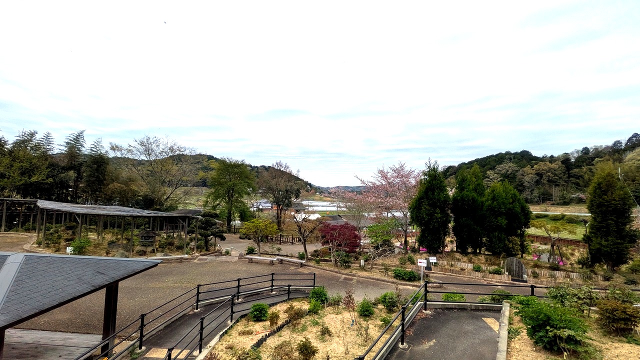 宝塚市立長谷牡丹園の全景。手入れされた園路と周囲の山並み