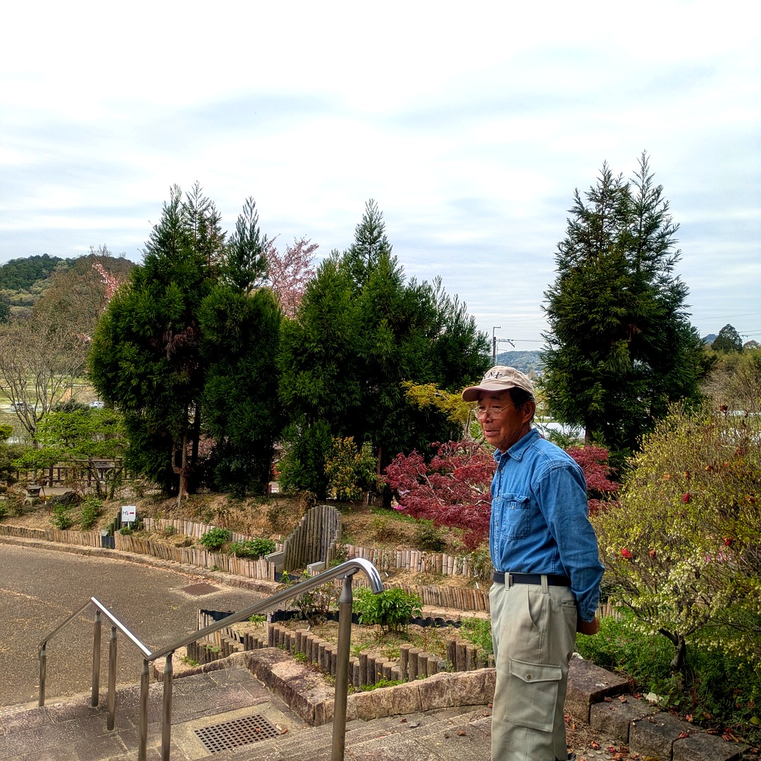 長谷牡丹園の園内に立つ西谷仕事人代表・辰巳昭治さん
