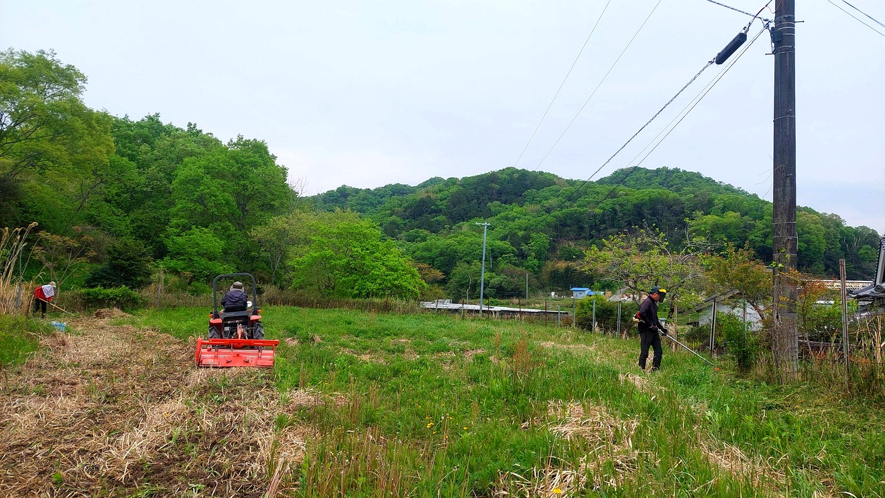 トラクターと作業員が耕作放棄地を整備している様子
