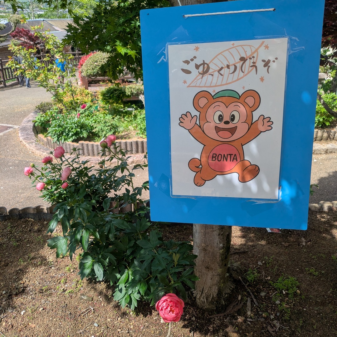 長谷牡丹園のマスコットキャラクター「ボン太くん」の看板（晴天の庭園）