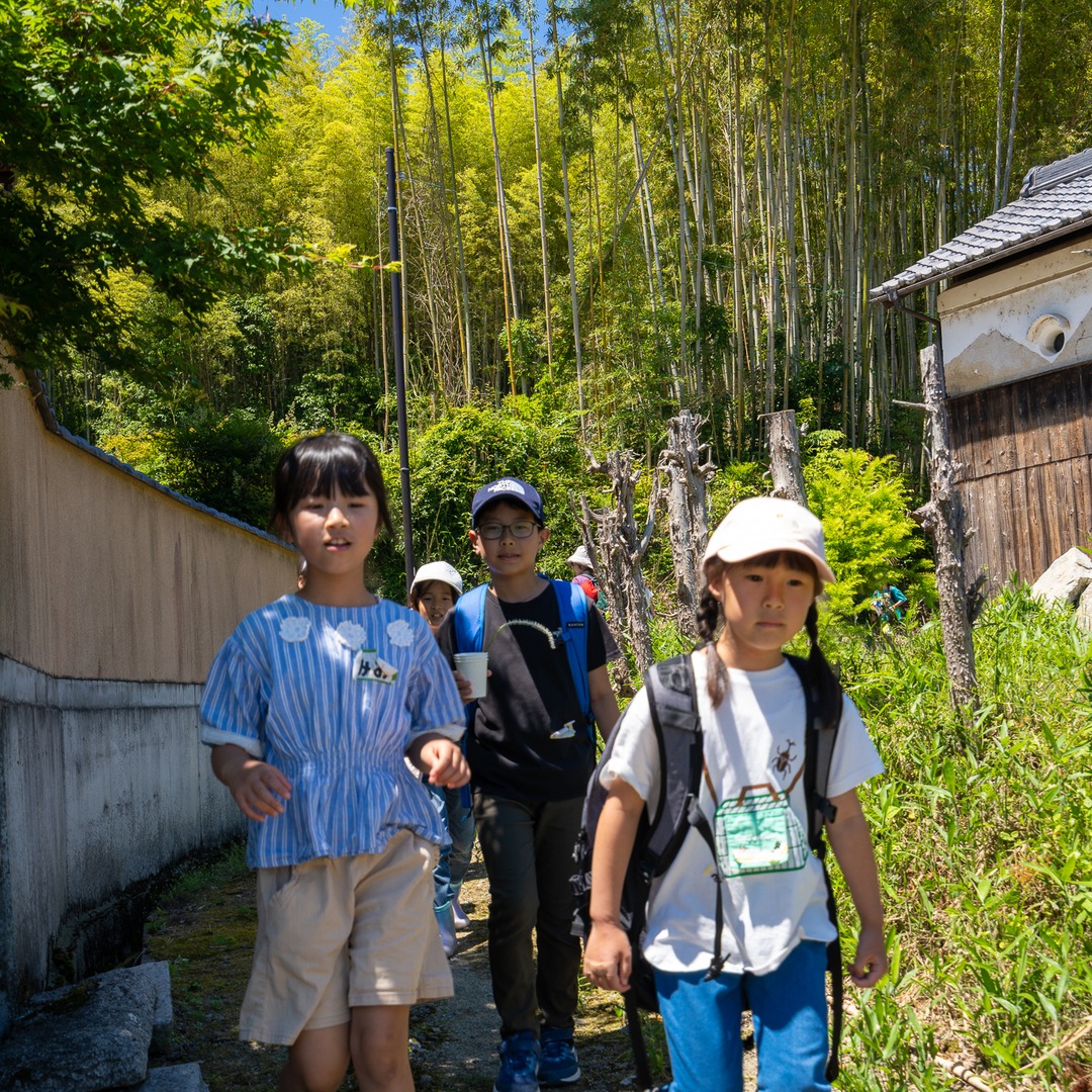 古民家裏の竹林を散策する参加者たち