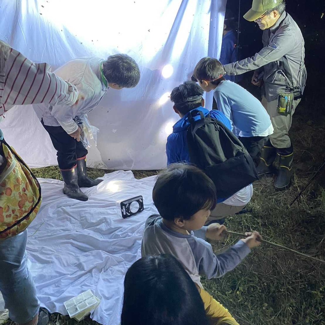 夜、ライトトラップに集まる虫を観察する子どもたち