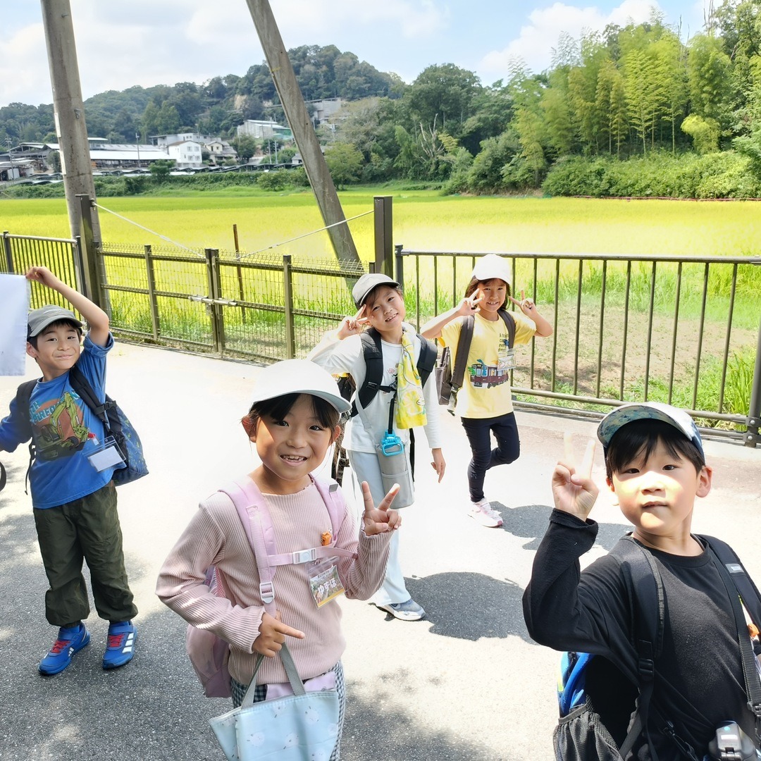 稲穂に囲まれた西谷の田舎道を歩く子どもたち