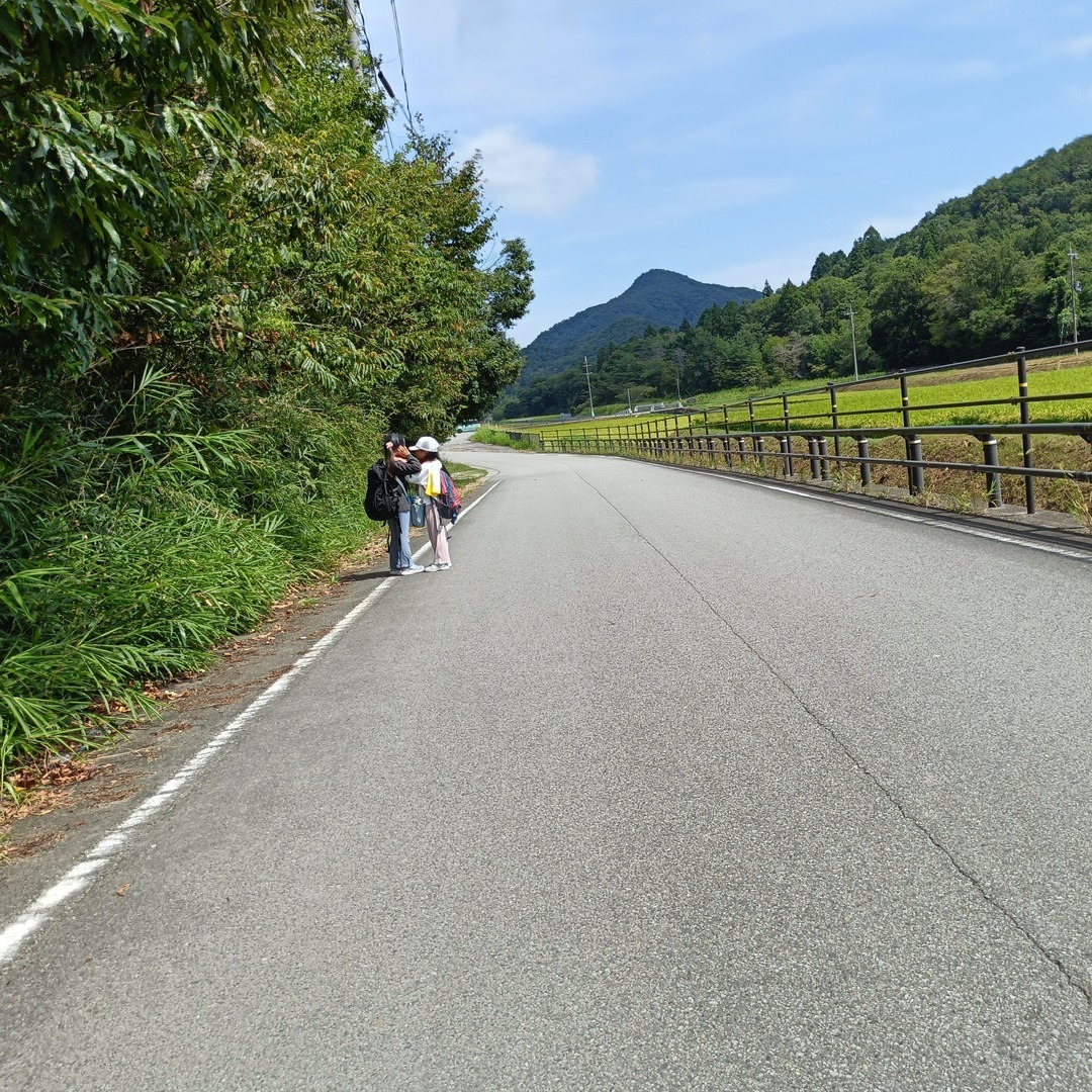 山と田んぼに囲まれた西谷の道を歩く参加者