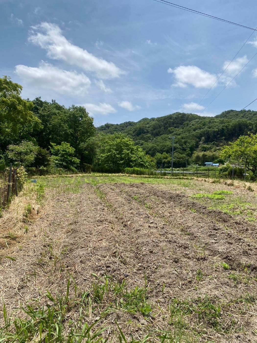 畝を立て終えた畑と、青空の下に広がる西谷の山並み