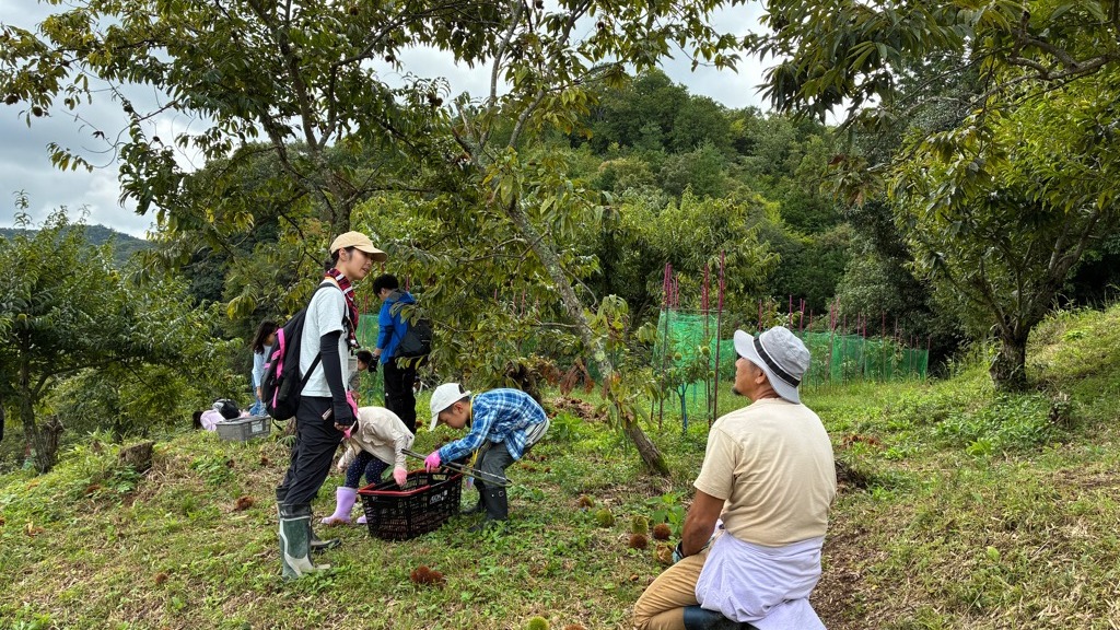 しゃがみこんで子どもたちの栗拾いを見守る栗園再生プロジェクトのメンバー