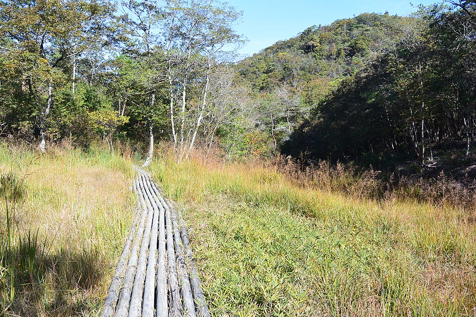 丸山第三湿原に敷かれた木道と、背後の丸山